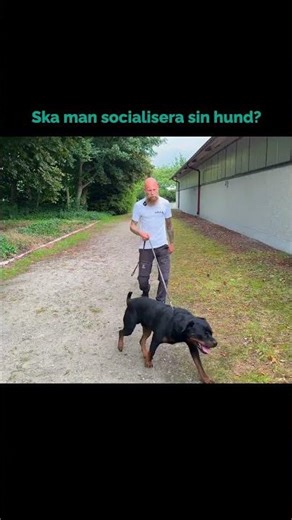 Se hela videon i vår profil!