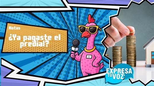 #Ojo l 👀 💵 ¿Ya pagaste el predial? ¿Sabes cómo pagarlo en línea? Aquí te contamos paso a paso 💬 #ExpresaTv #impuesto #informativo #tutorial | Expresa TV Celaya
