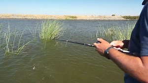 67K views · 634 reactions | Want to catch BIGGER fish? Nick the Informative Fisherman will show you how with LIVETARGET Lures Threadfin Shad from this month's Lucky Tackle Box! Special offer: Next month's theme is Top Fall Baits and we'll add an extra fall bait in your box when you use promo code FREEFALL at checkout ==> LuckyTackleBox.com | Lucky Tackle Box | Facebook