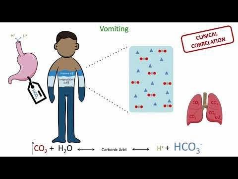 Acid–Base Fundamentals: From Hydrogen Ions to Clinical Disorders | Sophia Ambruso