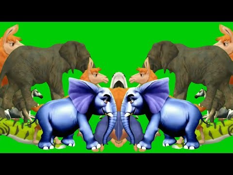 Animals stampede video | Stampede green screen | Zoo Animals Stampede Green Screen | Cartoon animal
