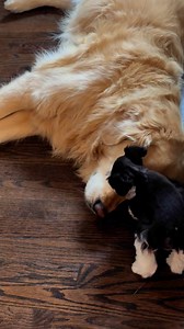 269K views · 5K reactions | Turn the sound on! This is a perfect...