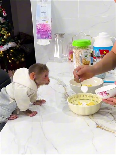 Delicious Oatmeal Cookie Recipe You Must Try