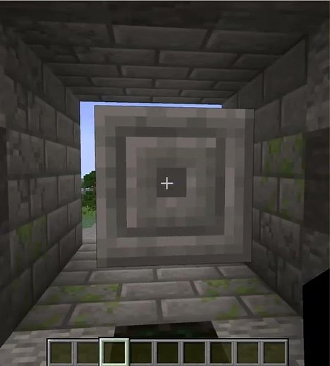 3x3 Piston Door made in Minecraft!