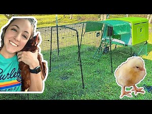 Unboxing and Assembling my Omlet Eglu Cube Chicken Coop | Getting Ready for My Chickens!!