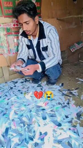 kabootar ki video😭💔🕊️#pigeon#birds#animals#pets #attitude#pigens#bird #kabootar #pyra