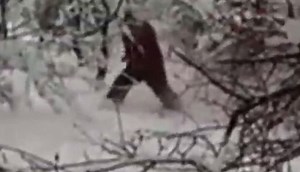 Unbelievable footage captured of hairy figure believed to be Yeti