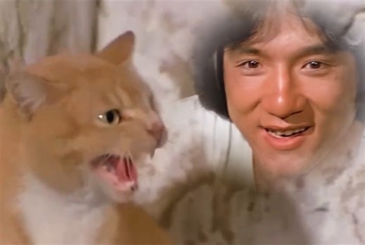 猫儿这个哈气演员