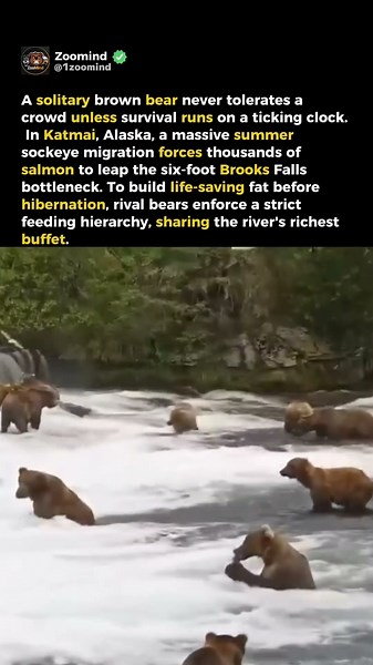 THE SALMON CHOKEPOINT