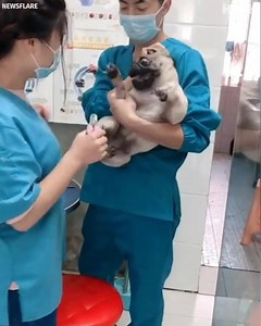 We all know a drama queen... 😂🔊 | The Hook