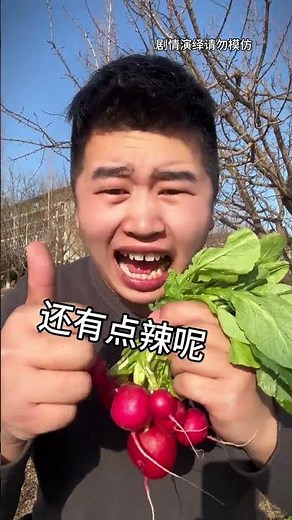 Master Ruby in 3 Bites: Unravel the Real Challenges