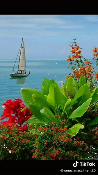 Tropical Beach Paradise with Palm Trees and Clear Waters