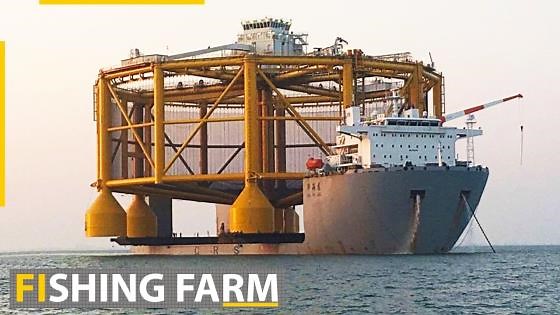 Inside the world's biggest fish farm