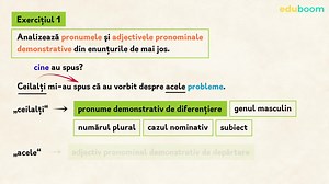 Pronumele și adjectivul pronominal demonstrativ. Exerciții. Limba și literatura română clasa a 7-a