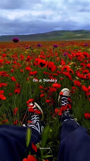 Harleys in Hawaii – Katy Perry | tropical aesthetic edit | beach vacation status 🏝️🏍️