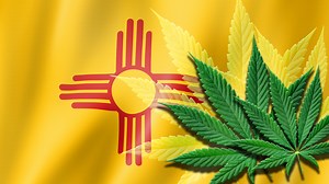 New Mexico Regulation and Licensing Department seeks funding to expand cannabis enforcement