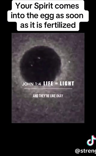 The Miracle of Life: Light Happens When Life Happens