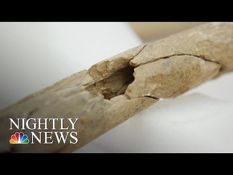 NBC News Exclusive: Scientists Find Rare Bones From Civil War Battlefield | NBC Nightly News