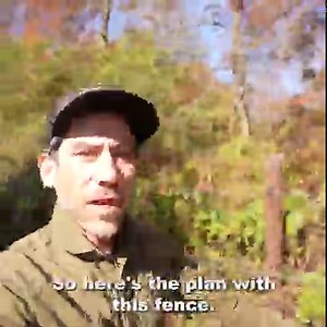 37K views · 709 reactions | Clearing fence line with no big machinery. One day at a time! | Sow the Land | Facebook