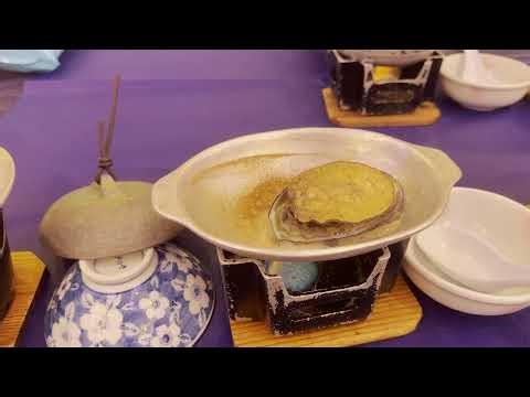 190) Part 18, Apple charter Flight to Japan Miyagi, Yamagata, Iwate, Sendai. 苹果日本包机, 宫城, 山形, 岩手, 仙台.