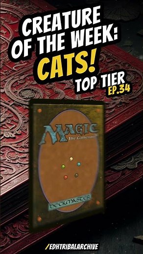 Creature of the week –CATS! | Ep. 34: Commander #edh #mtg