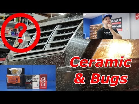 Do ceramic coatings help remove bugs? Yes, but you still need to know something!