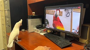 8.8K views · 331 reactions | Zooming… literally! Behavioral...