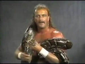 Jake Roberts Promo on Ted DiBiase (09-03-1989)