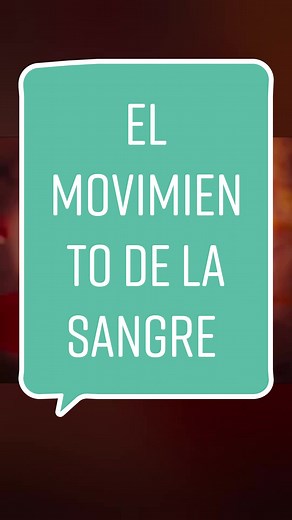 De hecho, la sangre se mueve así, Como sacudidas #sangre #arterias #globulosrojos