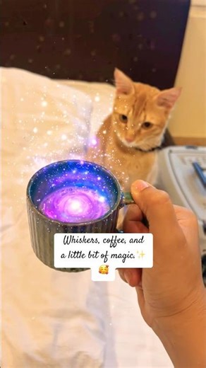 Step 1: Be cute. Step 2: Cast spell. Step 3: Get treats. 🥰 #shorts #kitten