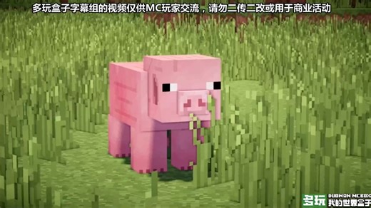 【tnt】如果你在MC中无法死亡