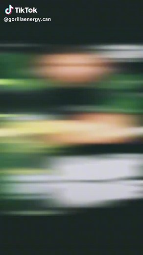 MAJIDIA_ONE_STOP_SHOP👉TRIOLET (@majidia_one_stop_shop)’s videos with original sound - MAJIDIA_ONE_STOP_SHOP👉TRIOLET