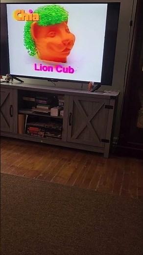 Chia pet commercial on nick at nite