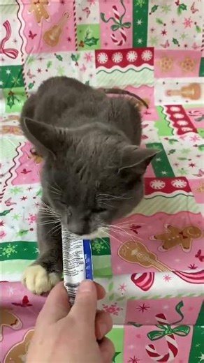 Ralphie is doing so well, and honestly, we are amazed at how quickly he’s adapting. [STORY BELOW]