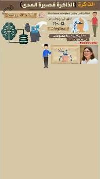 What are the types of human memory?