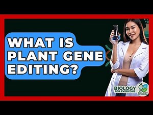 What Is Plant Gene Editing? - Biology For Everyone