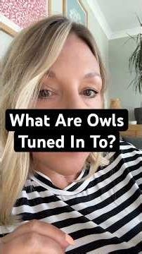 What Are Owls Tuned In To?🦉
