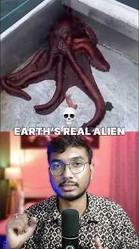 The Creature That Thinks With Its Arms! 💀