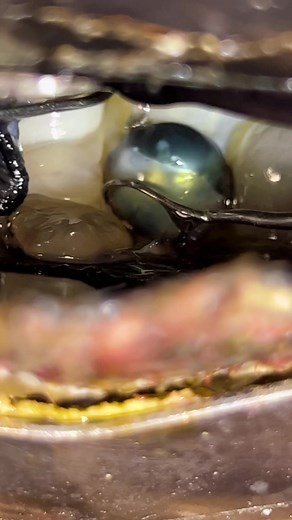 Real Life Ender Pearl Extraction from Oyster | Kamoka Pearl