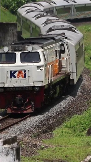 EXECUTIVE TRAIN at RURAL TRACK