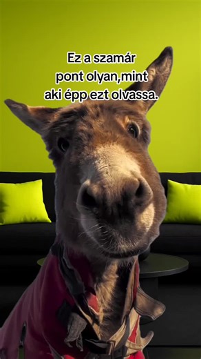 #Meme #MemeCut #CapCut