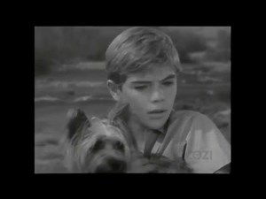 Lassie - Episode #304 - "Decision" - Season 9, Ep. 13 - 01/06/1963