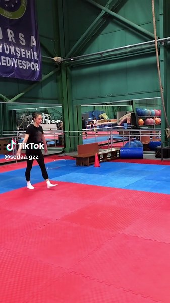 AeroGymnastics: Flexibility & Butterfly Techniques