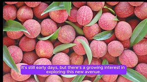 With the right knowledge, resources, and a bit of patience, Kenyan...