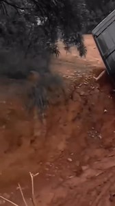 New workout 😂 | Tibo Inshape