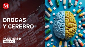 Del opio al diseño: La evolución de las drogas y el cerebro humano