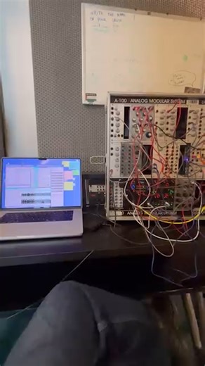 Studying for the modular exam like it’s Hogwarts but the spellbook is in pirate accordion. Credits: @keely.westwood #modularsynth #synthlover #bassmusic #producerlife #sounddesign | Soundteams