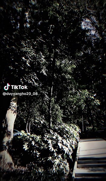 Thời gian tan nhẫn lấy đi người anh thương nhất trên đời.. #CapCut #xuhuong #edit #lyrics #nhachaymoingay #capcutmaster