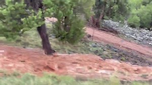 61K views · 1K reactions | WOW: The latest round of monsoon weather has brought flooding to parts of the state. This is video taken in the Show Low area. Courtesy: BigAL LATEST WEATHER UPDATES: https://www.fox10phoenix.com/weather (NOTE: Beware of road conditions while driving, and avoid driving into flooded roadways.) | FOX 10 Phoenix | Facebook