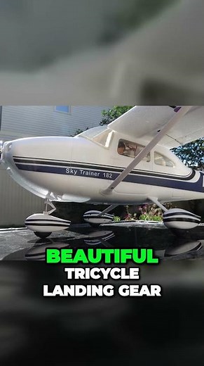 The Stunning FMS Sky Trainer 182 The Ultimate Trainer Plane #fmshobby